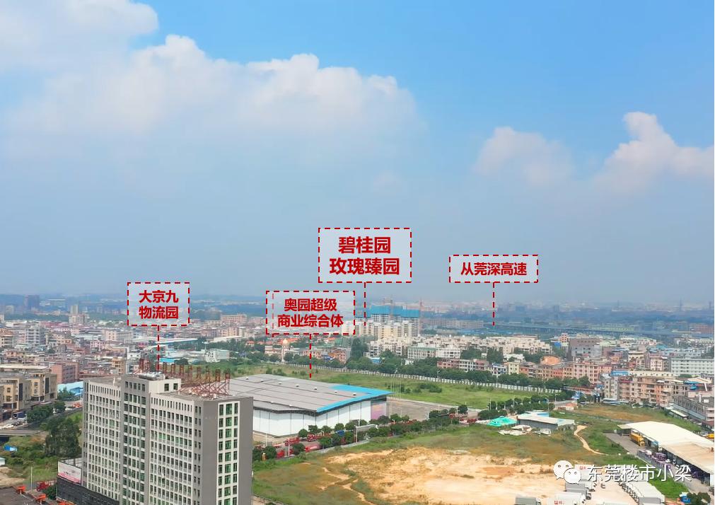 东莞市碧桂园玫瑰臻园,疫情后楼盘首开