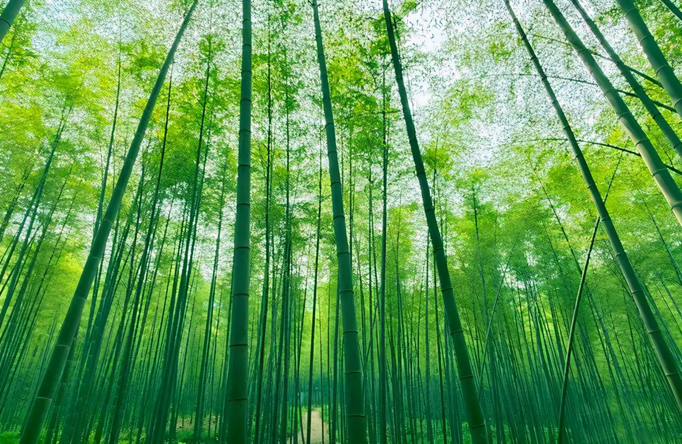 常州旅游攻略推荐必去的地方,去常州旅游必去景点攻略