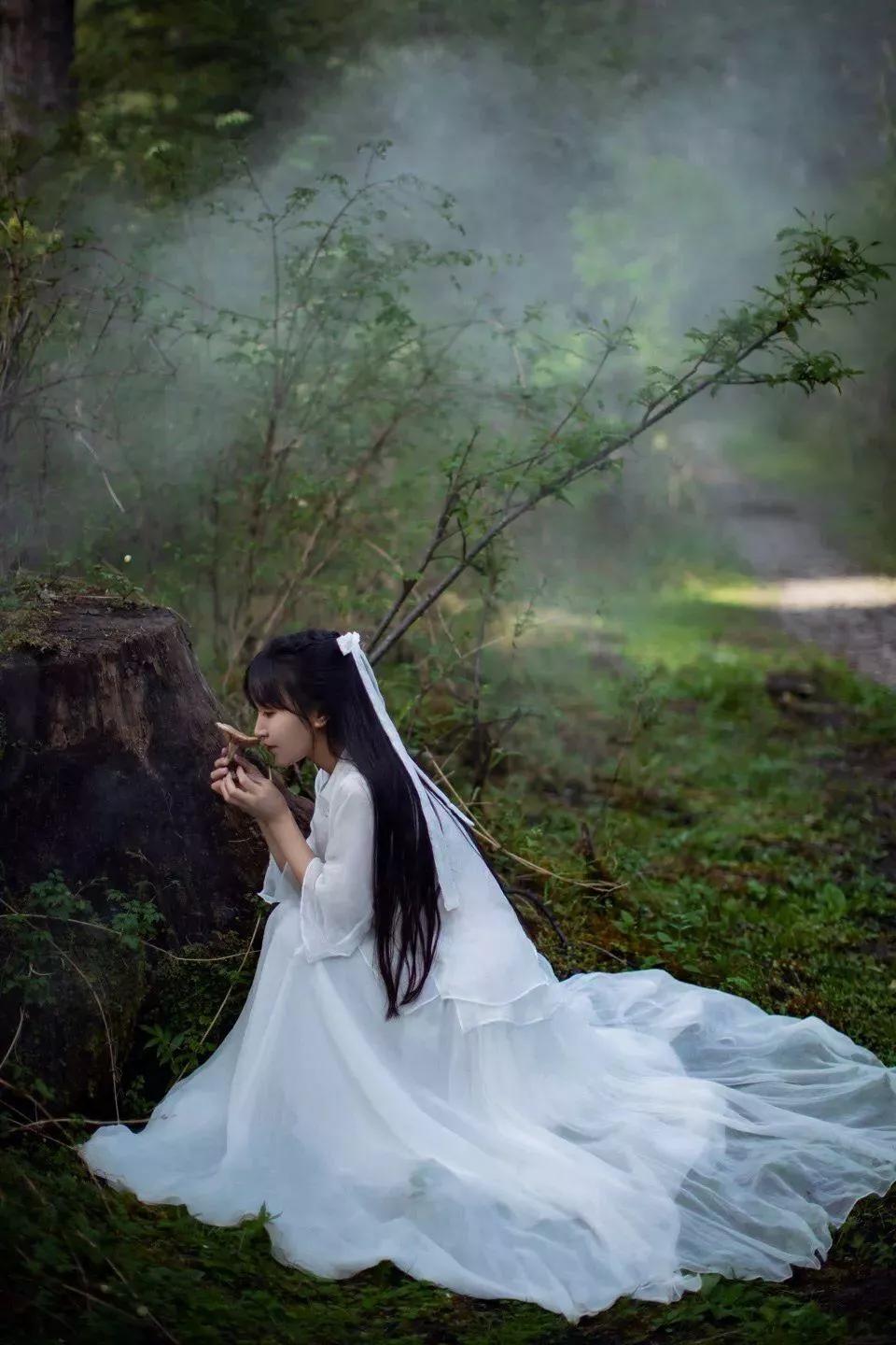 李子柒的走红说明了什么,李子柒抖音爆红