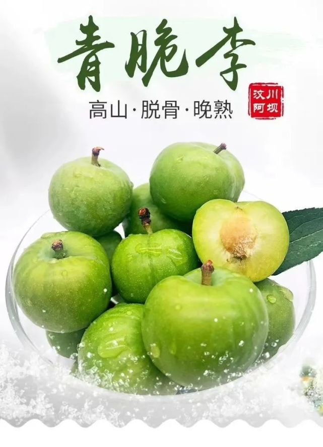 晚熟汶川青脆李,汶川青脆李几月份成熟