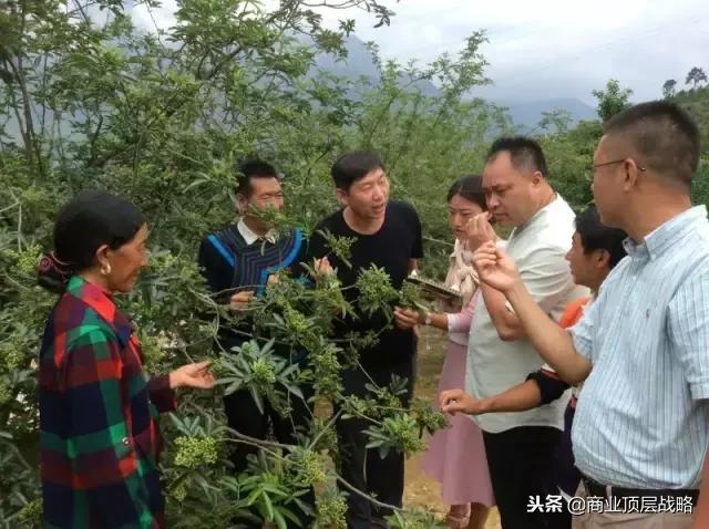 股权激励的真谛,一粒花椒的故事