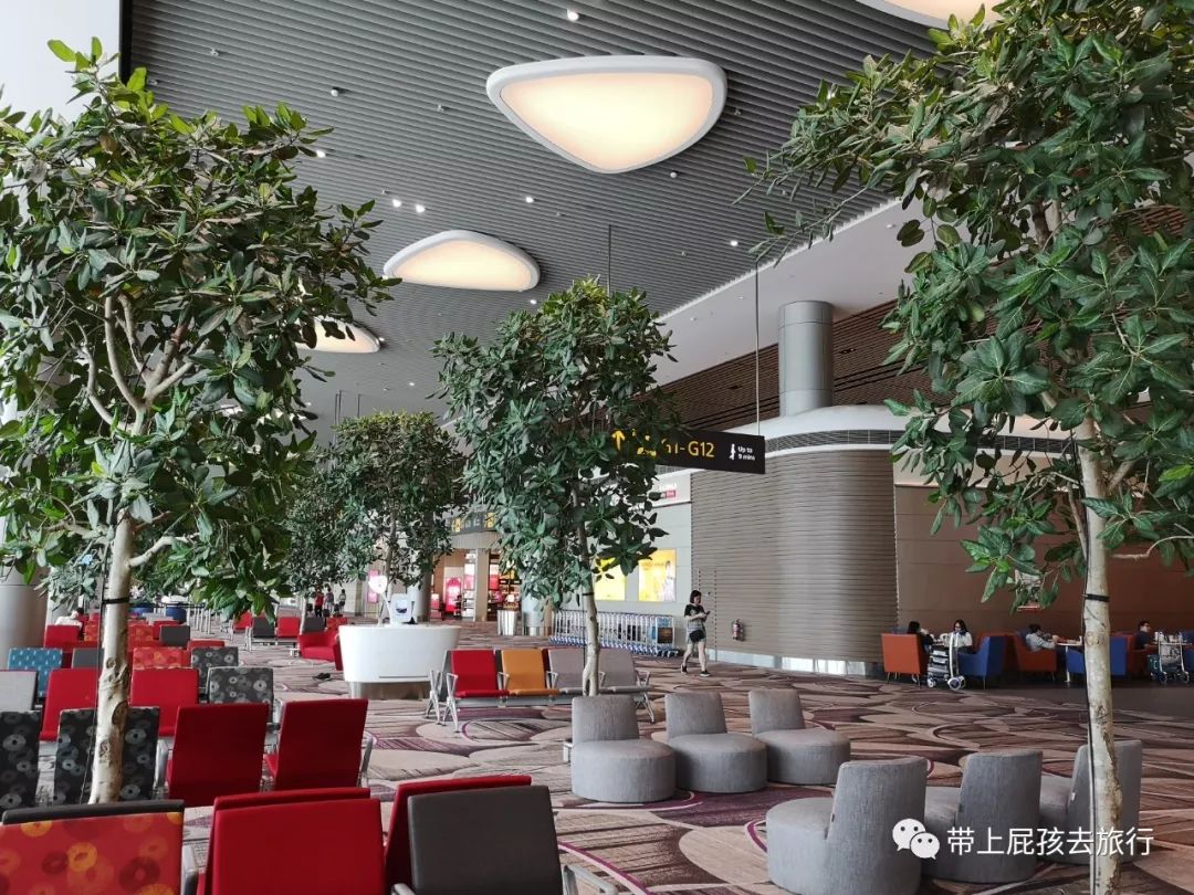 无旅行不暑假亲子游胜地新加坡,新加坡马来西亚亲子游春节