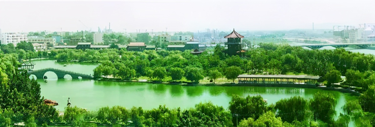 天选之子鲁班七号,山东泰山天选之人