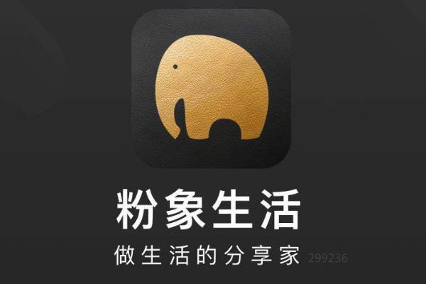 十大社交电商排名，粉象为什么能拍第一？