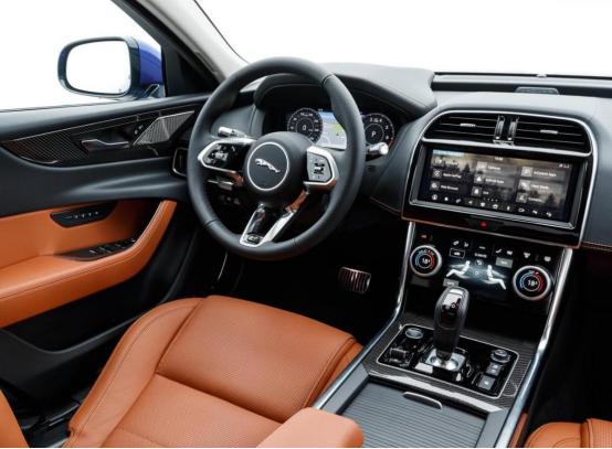 面对这样的“小豹子”,您还能管好自己的钱包吗?