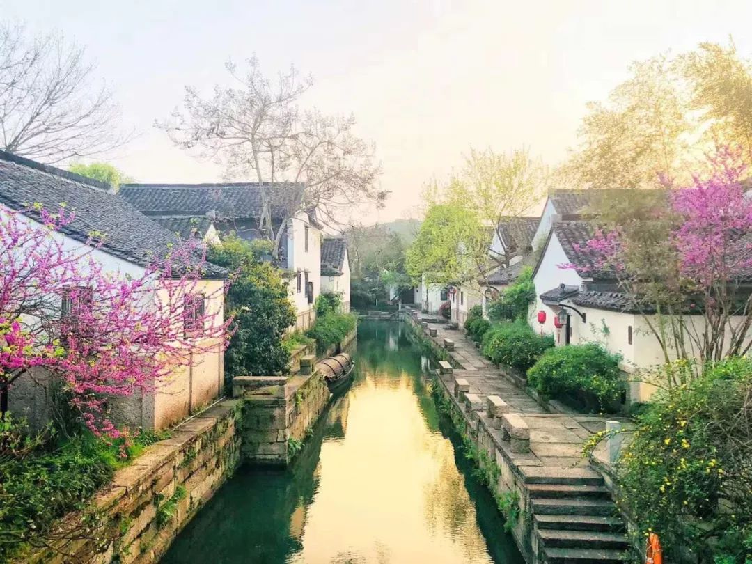 飞猪f2什么意思,飞猪f2是什么概念