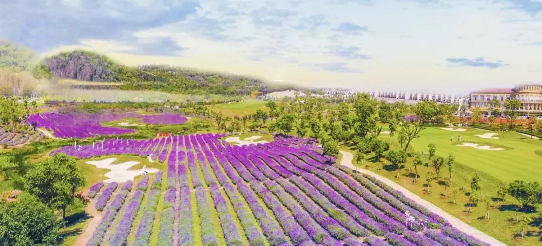 曲靖这31个景点你都去过了吗,曲靖千亩花海美景