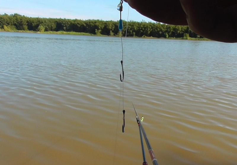 钓土鲮遇到小罗非多怎么办,小罗非闹窝用麻团钓法