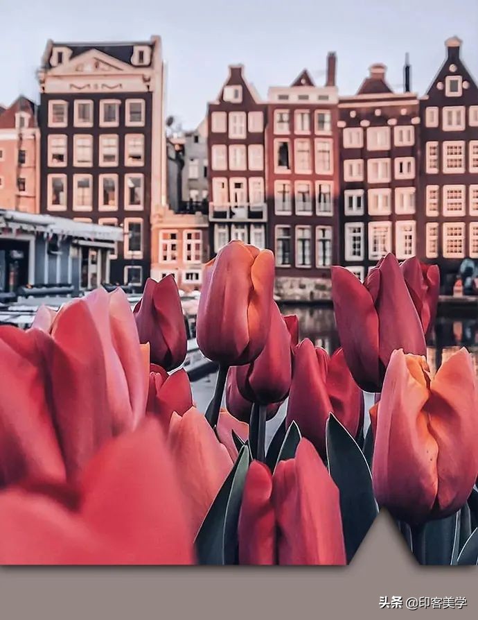 再见虾米背景音乐,再见虾米最新音乐