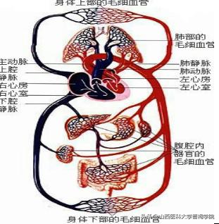医学生土味情话攻略,医学生土味情话视频