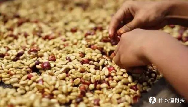 手冲速溶咖啡新手入门学习,从咖啡豆到泡咖啡的过程