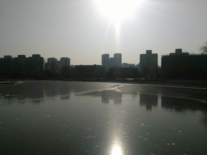 畸形的爱,畸形的爱情电影