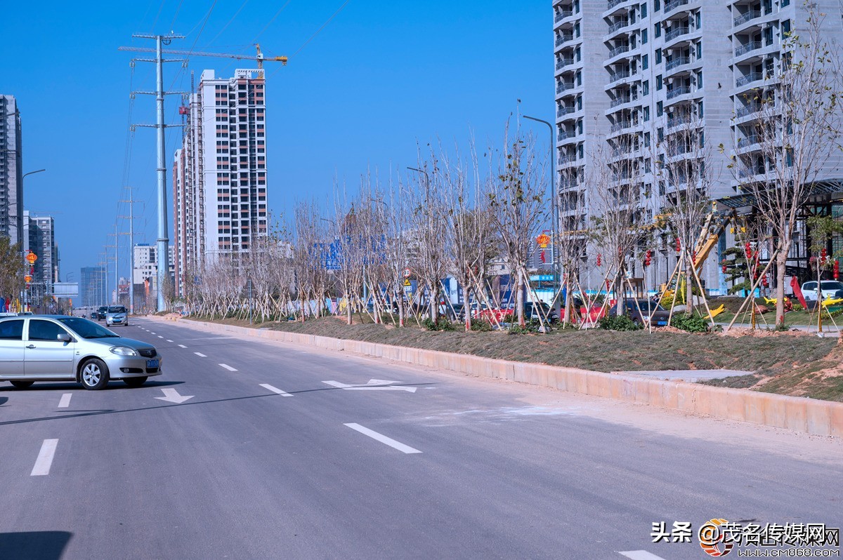 电白在崛起！——2021网络媒体看滨海（电白）采风活动