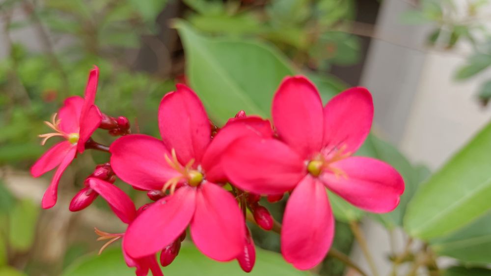 风邪体质如何调理,风邪的特征和治疗方法