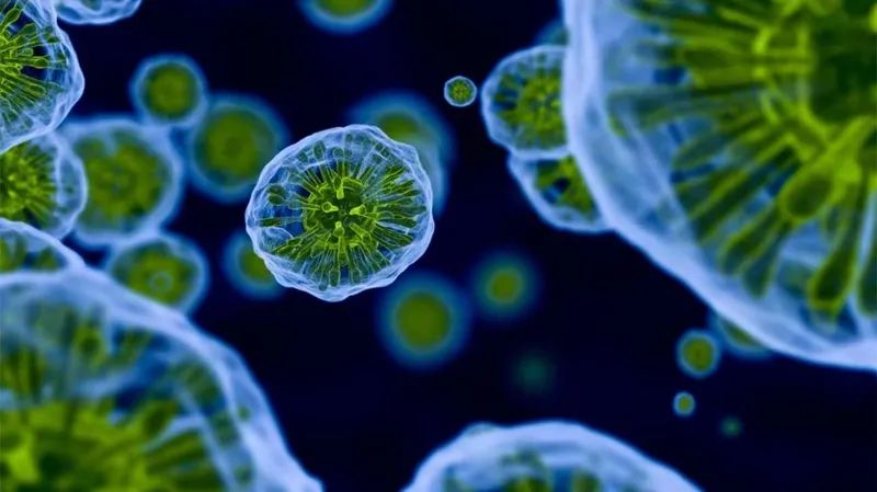 癌症是如何转移的动画演示,癌症转移的最佳方法