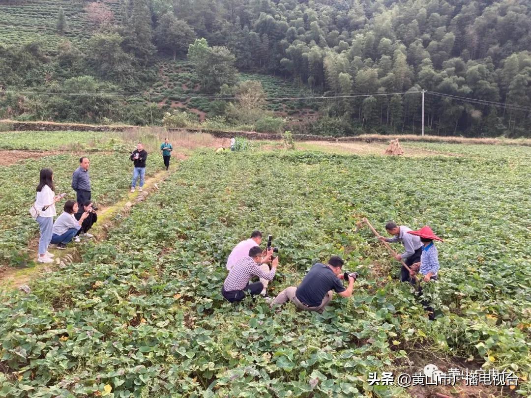 今日休宁 (休宁今天视频)