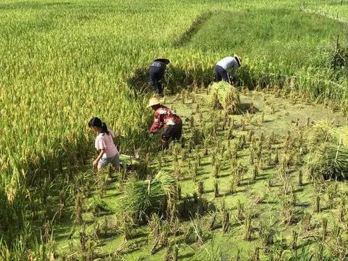 等男人熬过最难熬的时光,在那些等待的日子里