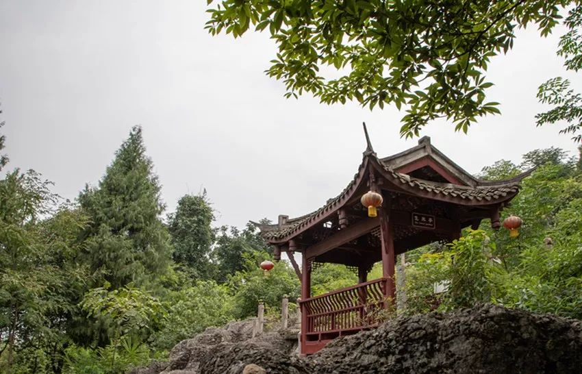 又是人间四月天踏青赏花正当时,正是人间芳菲时