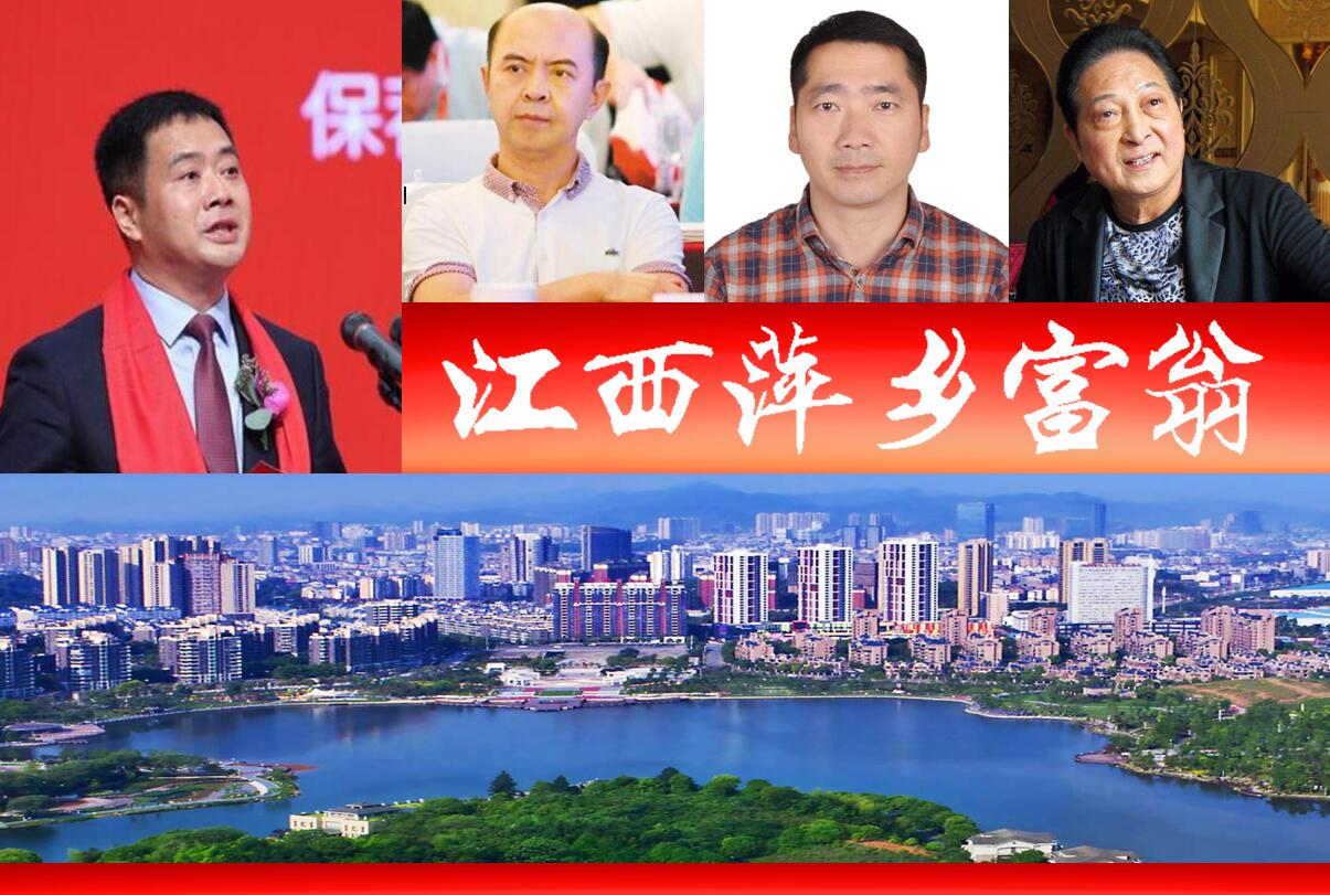 2017年萍乡十大首富,萍乡三大富豪