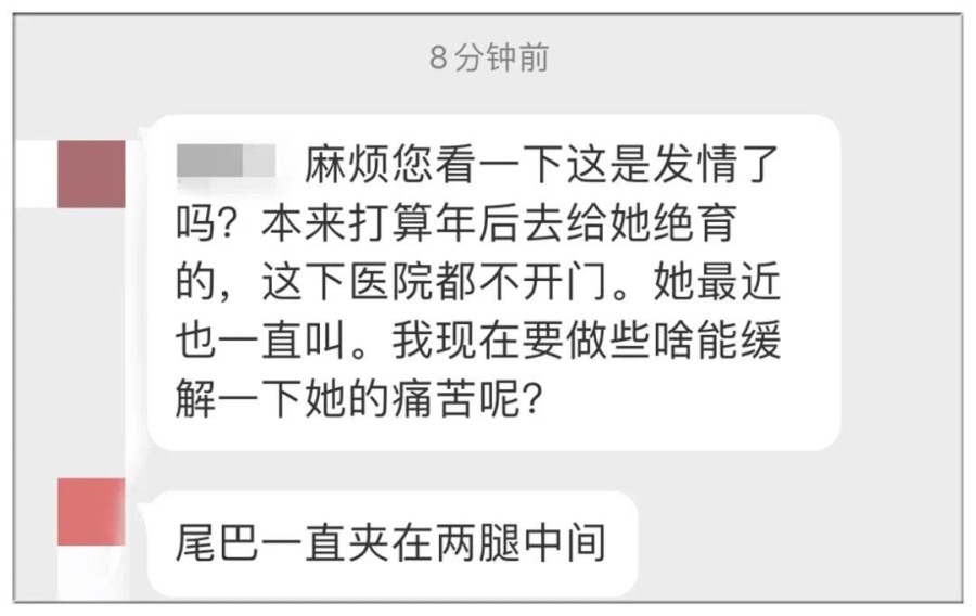春天来了，家里的动物开始了兴奋，被困在家中的你该如何帮助它呢