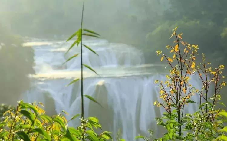 最美的六大瀑布黄果树瀑布上榜,黄果树大瀑布宏伟壮观的美丽风景