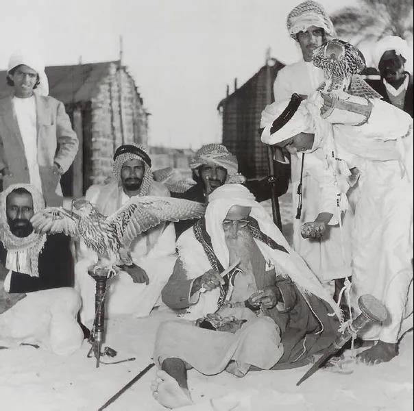 迪拜必知100个常识,迪拜旅游冷知识大全