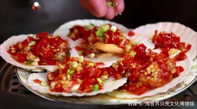 扒一扒那些在美食界乘风破浪的贝壳们