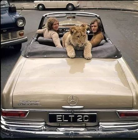 harrods英国奢侈店,harrods上海