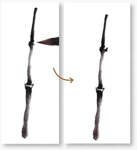 画竹子的简单画法水墨初学,竹子没骨画教程
