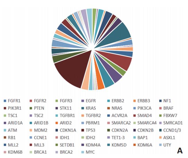 晚期胆管细胞癌的治疗现状与进展