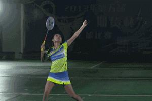 羽毛球技术8个要领,羽毛球技术动作要领讲解书籍