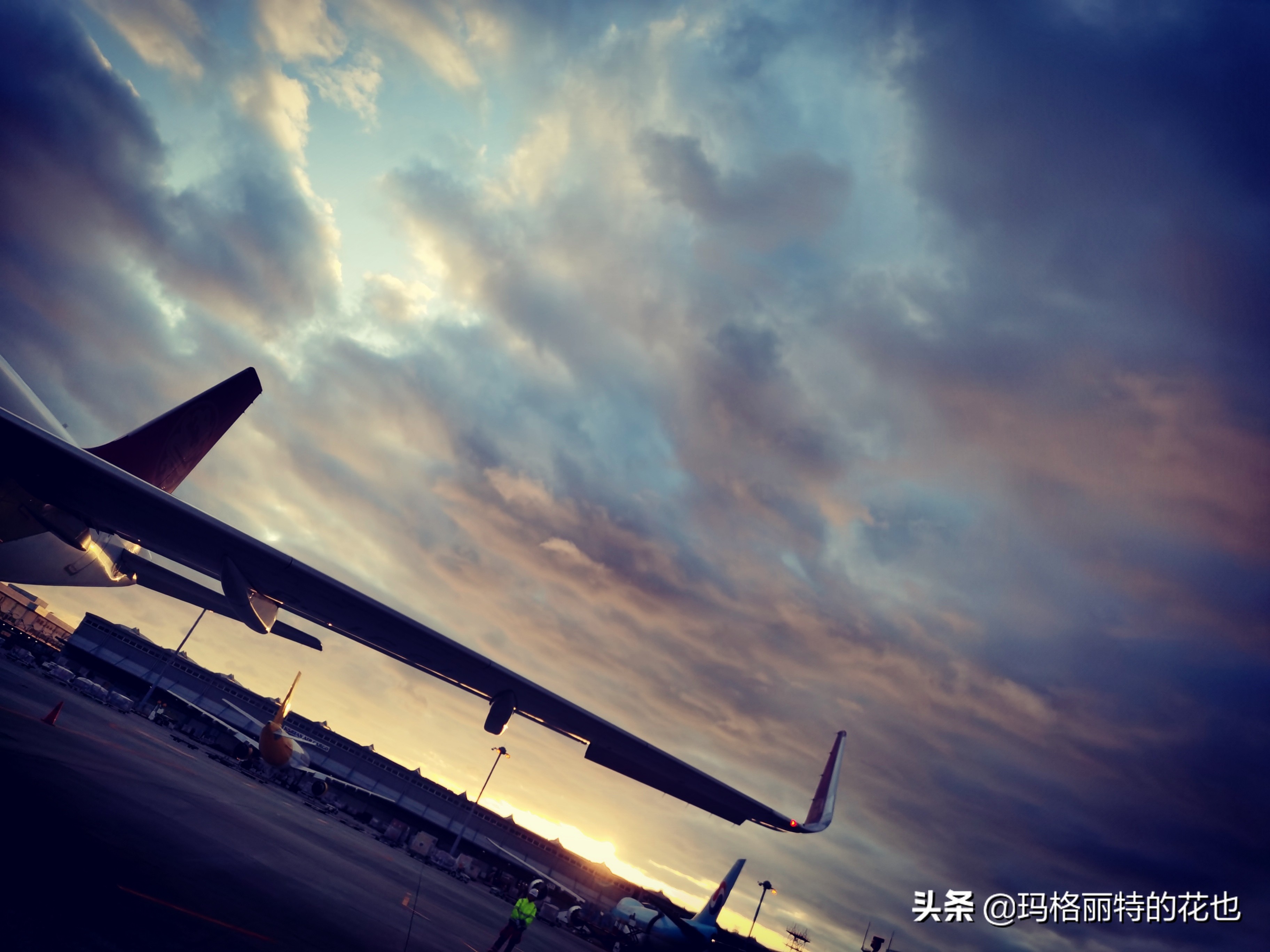 萁田森林公园和大阪的省钱之旅|行摄日本