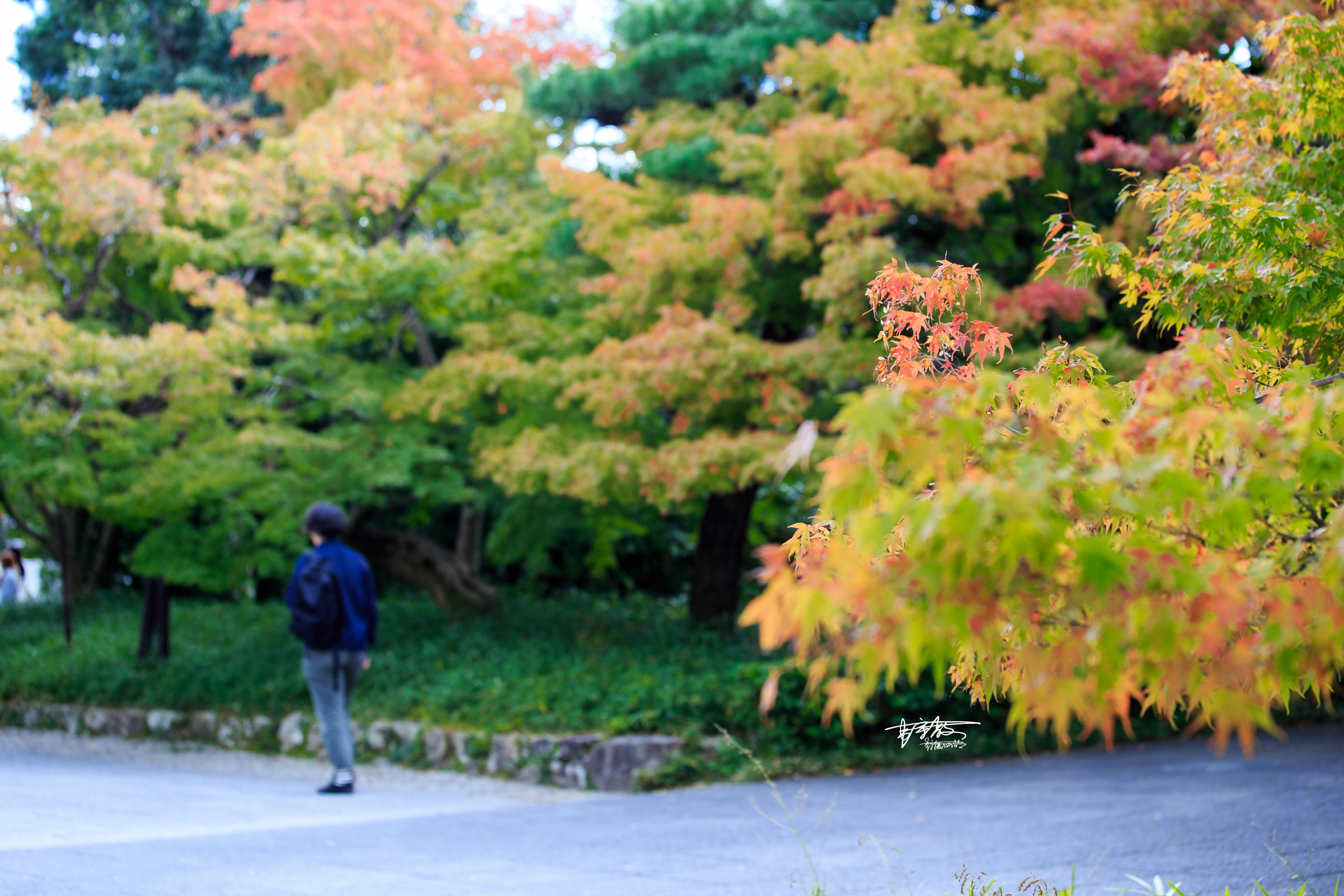 《万叶集》里的荒芜旧宫，千寻与无脸男走过的桥