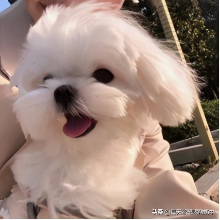 送女生什么礼物会开心,送女生什么礼物才能让她终身难忘