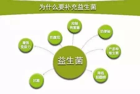 猫吃哪款益生菌比较好,猫用益生菌和人用的益生菌