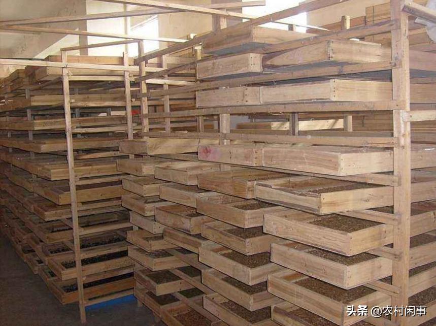 江西人养殖蜈蚣致富方法,蜈蚣的销路怎么样