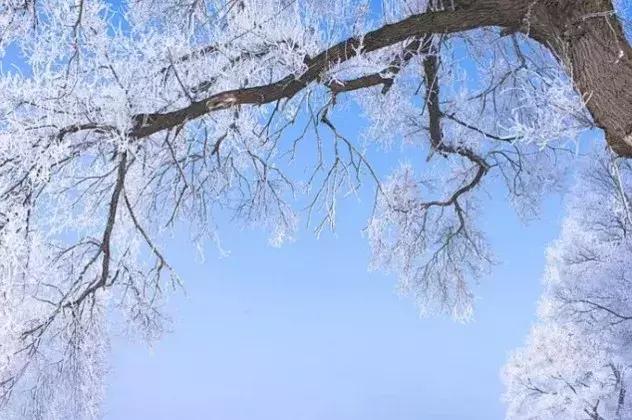 雾凇之美宛若仙境,连云港花果山雾凇美得像仙境