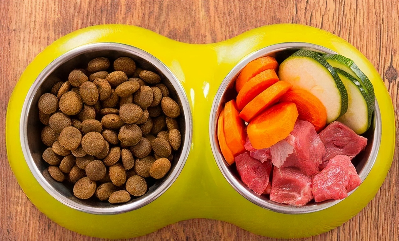 狗狗当警犬是自愿的吗,狗狗当护卫