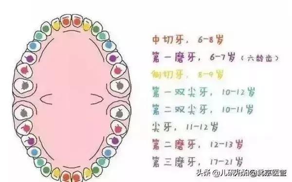 儿童换牙注意事项换牙顺序看这里,换牙期的小朋友注意什么