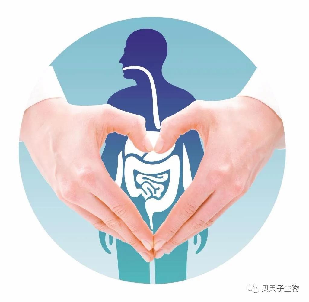 怎么鉴定我们肠道菌群是否健康？