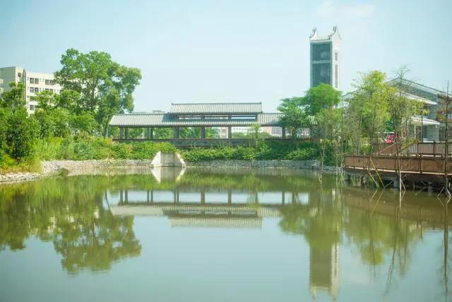 深圳免费公园适合儿童,深圳免费公园哪里最好啊