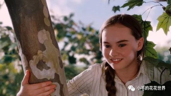 孩子在学校受到排挤老师批评,孩子在学校被排挤被欺负