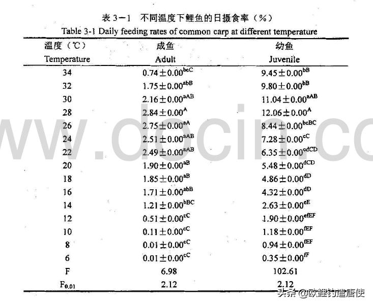 夏季下雨过后钓鱼应如何选择钓位,夏季垂钓这3个钓位上鱼超多