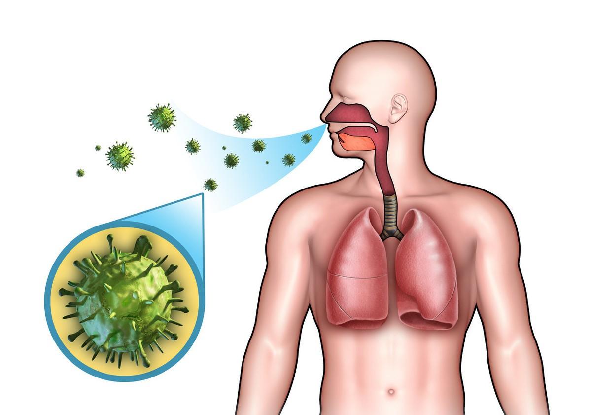 老人家感冒咳嗽需要注意什么饮食,感冒头痛咳嗽需要注意什么