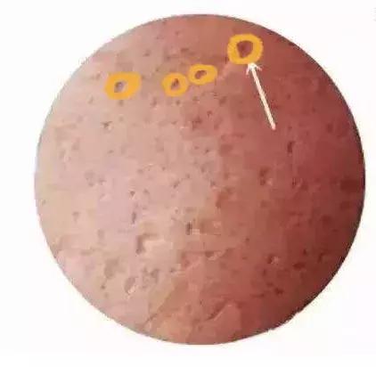 发现黑洞的真实照片,看黑洞视频的体会