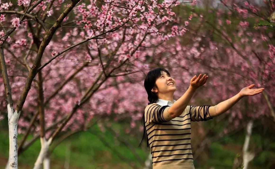 再过半个月，全国人民都将羡慕南阳