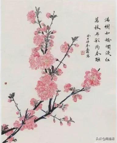 100幅桃花画,怎么画桃花树林