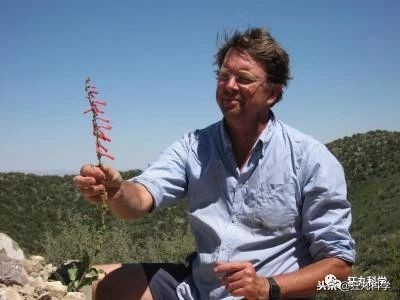 家里阳台上全是花草,家里阳台上的绿植