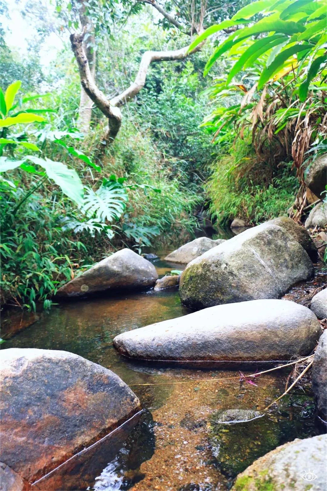 深圳这10条绿道你去过没,深圳十大绿道排行榜