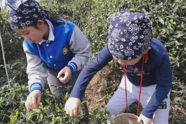 小学招生2000人,美视国际学校收费